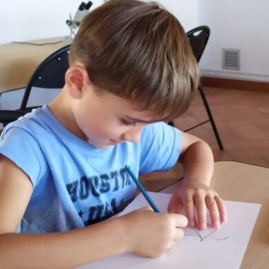 IMG-20230917-WA0003-1